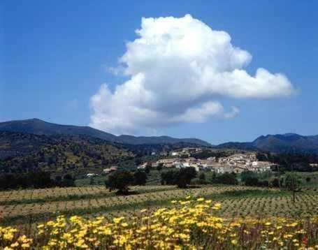 Casa Rural Alquiler Integro Cal Sisco Vilamaniscle 外观 照片